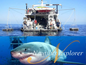 Great White Trip @ Nautilus Explorer | Baja California | Mexico